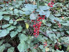 -余氏豆腐包老店(东直街店)