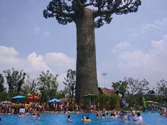 -苏州乐园森林水世界