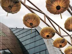 -重庆国际马戏城