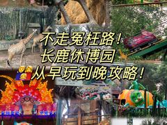 -长鹿旅游休博园