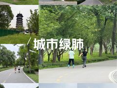 -洋湖国家湿地公园