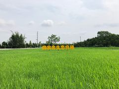 -迪茵湖田家舍生态农场