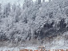 -海螺沟风景区