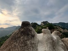 -大岭沟猕猴桃谷风景区