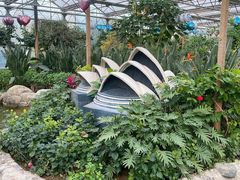 -南宫五洲植物乐园