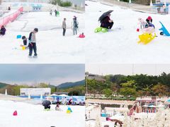 -盈香心动乐园