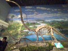 -自贡恐龙博物馆