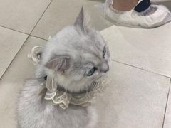 -怪兽屋·羊驼·猫咖·狗咖(俊华广场店)