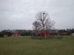 -合肥三国新城遗址公园