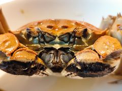 -蟹榭·本帮江浙菜·蟹宴(五角场合生汇商场店)