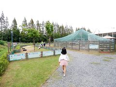 -前小桔亲子创意农场·草莓采摘·露营烧烤
