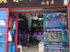 -华声天桥民俗文化园