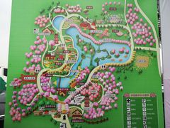 -天适樱花悠乐园