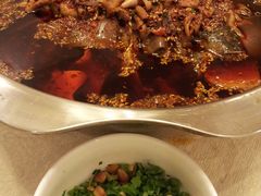 麻辣大鱼头锅-冯鱼头火锅(青蓝山美食一条街店)