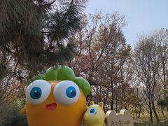 -南京枫彩漫城