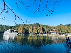 -深圳仙湖植物园