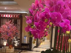 -上海小南国(国发店)