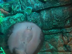 -沈阳海洋探索中心