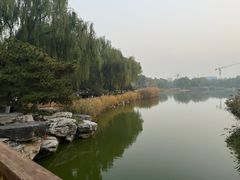 -燕郊植物园