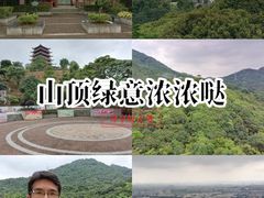 -清溪大王山森林公园