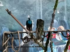 -昆明花之城豪生酒店·美食广场