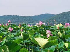 -棋盘山风景区