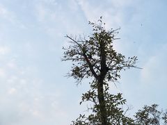 -青岛第三海水浴场