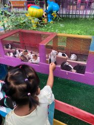 -萌宠亲子动物乐园(槐房万达店)