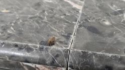 点击看大图 -首都医科大学附属北京儿童医院