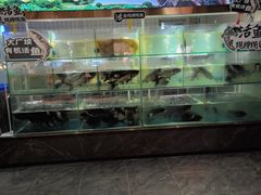 -韶山冲湘菜(中兴大街店)