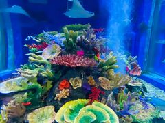 -成都浩海立方海洋公园