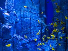 -成都浩海立方海洋公园