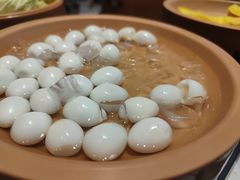 -龍歌自助小火锅(李沧顺和汇店)