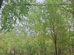 -玉渡山风景区-售票处