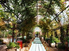 -The Grounds of Alexandria