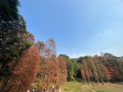 -广州市白云山风景名胜区