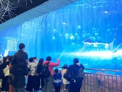 -华夏文旅海洋公园