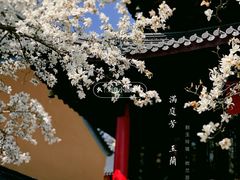 -灵谷景区