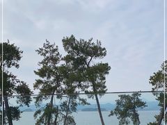 -宝荣鱼馆·临湖之宴(千岛湖店)
