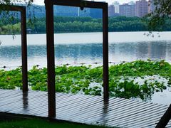 -天鹅湖体育公园