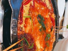 -一斗火锅·招财羊毛肚(上河城店)