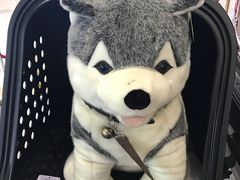 -沈阳国际会展中心管理有限公司