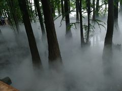 -东湖落雁景区