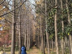 -洛阳市隋唐城遗址植物园