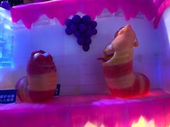 -梦幻奥陶纪景区