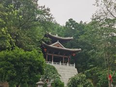 -红花湖景区