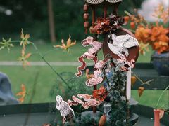 -也枫·小黄楼(南山路旗舰店)