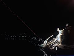 -淄博花灯齐彩城