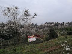 -樱桃山旅游景区