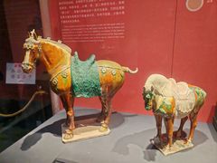 -陕西历史博物馆